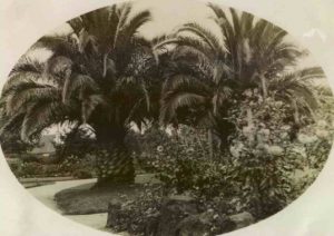 Postcard of the Gardens circa 1915