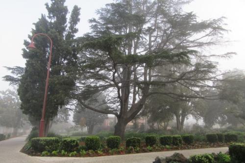 foggy