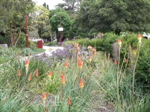 heavy planting