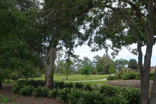 tree border