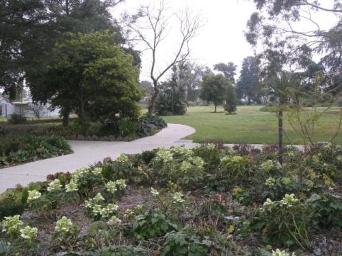 winter garden